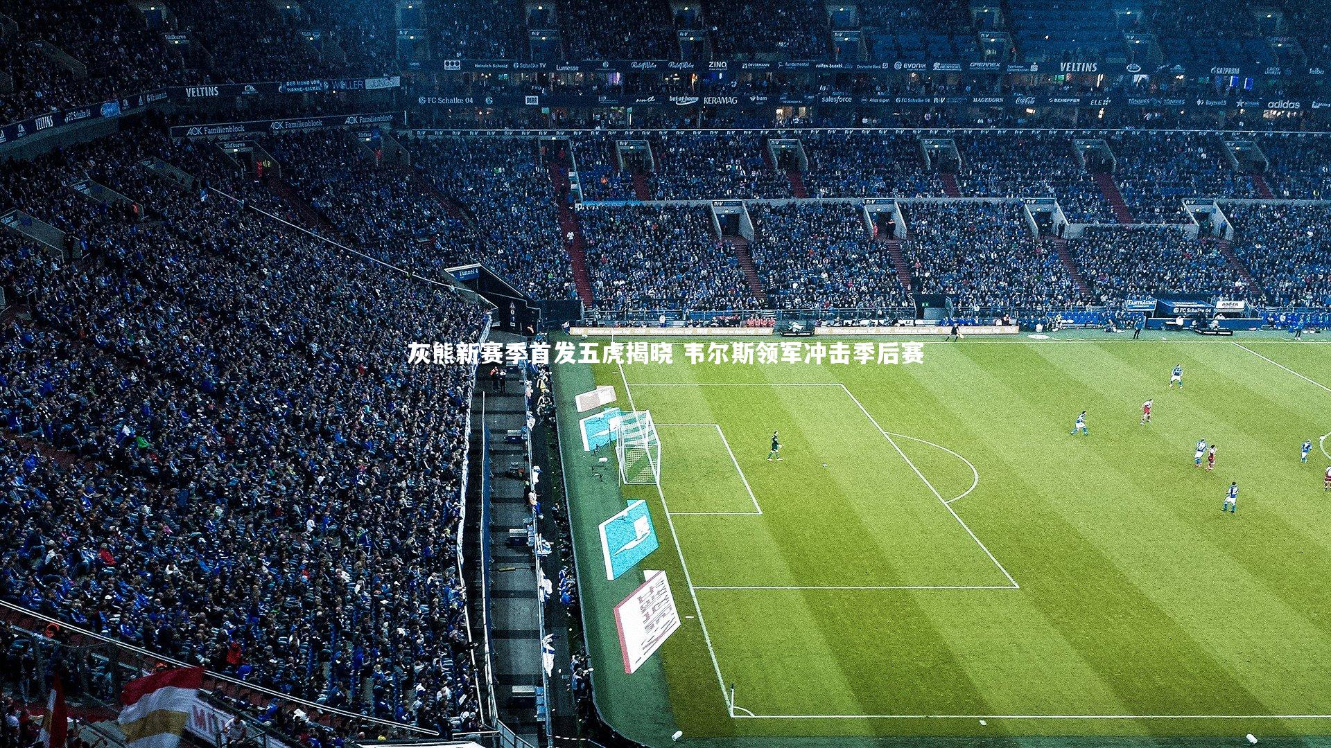 【星空体育】灰熊新赛季首发五虎揭晓 韦尔斯领军冲击季后赛-第1张图片-星空体育(中国)官方网站-STAR SPORTS